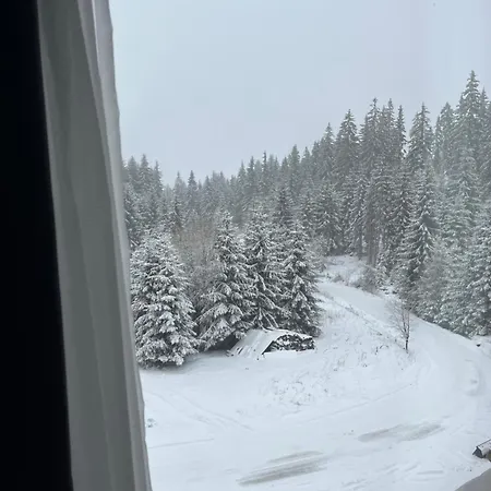 Rodope Хотел 2*
