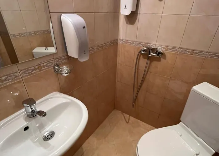 Отель Rodope 2*