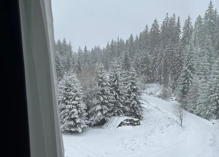 Rodope Отель 2*